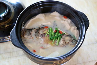 鯽魚(yú)豆腐湯的注意事項,解剖鯽魚(yú)的注意事項,冬季釣鯽魚(yú)注意事項