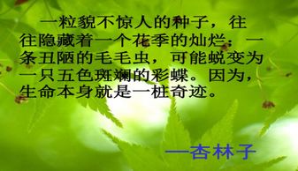 課間,注意事項(xiàng),活動,ppt