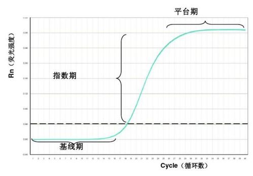 實(shí)時(shí)熒光PCR結(jié)果分析,實(shí)時(shí)熒光定量pcr結(jié)果分析,乙肝實(shí)時(shí)熒光定量pcr結(jié)果分析