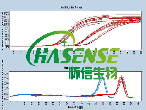 轉錄,合成,注意事項,植物