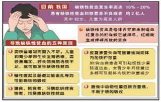 缺鐵性貧血補鐵的注意事項,簡(jiǎn)述缺鐵性貧血患兒補鐵的注意事項,缺鐵性貧血病人補鐵的注意事項包括