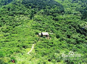 野外游泳的注意事項(xiàng),野外施工安全注意事項(xiàng),野外宿營(yíng)注意事項(xiàng)