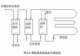 培養基,滅菌,要注意,事項