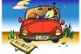 高溫,注意事項,開(kāi)車(chē),天氣