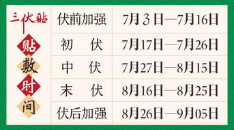 伏貼,注意事項