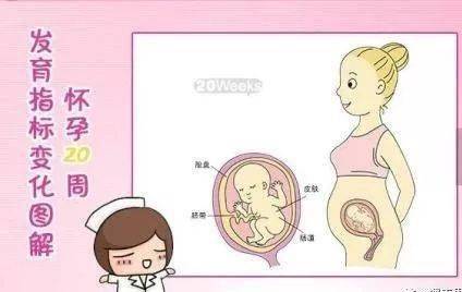 注意事項,懷孕