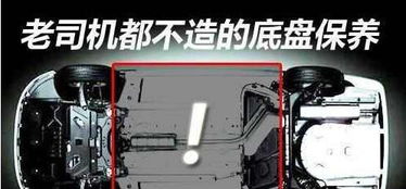 虎鉗使用的注意事項,蜜蠟的保養方法和注意事項,漂完唇的保養和注意事項