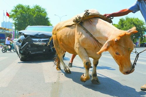 賣(mài)車(chē)給黃牛注意事項