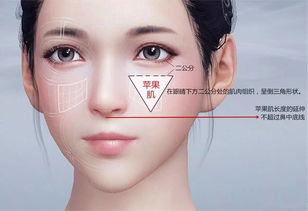 打蘋(píng)果肌注意事項,打完蘋(píng)果肌注意事項,蘋(píng)果肌填充后注意事項