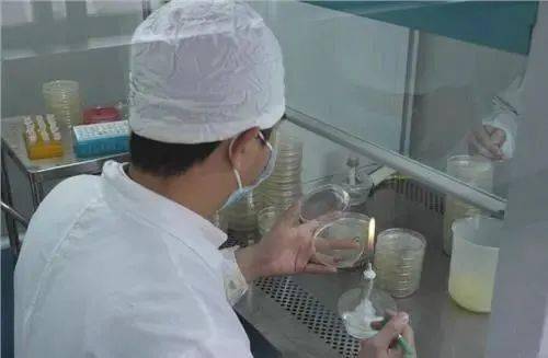 培養基的制備注意事項,培養基制作過(guò)程中的注意事項,培養基的配制與滅菌注意事項