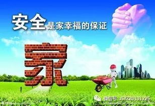 小學(xué)生寒假安全教育主題班會(huì ),小學(xué)生寒假安全教育主題班會(huì )ppt,小學(xué)生寒假安全教育教案