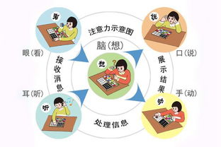 米蘭種植注意事項,米蘭的養(yǎng)護注意事項,米蘭的養(yǎng)殖方法和注意事項