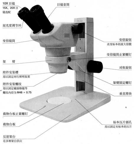 顯微鏡的結構及使用注意事項,相差顯微鏡的使用注意事項,普通光學(xué)顯微鏡的使用注意事項