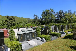 公墓,應(yīng)注意,事項(xiàng),返回