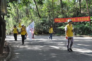 環(huán)保撿垃圾注意事項