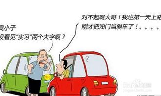 注意事項,開(kāi)車(chē),天涯,新手