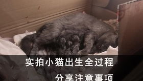 托運,注意事項