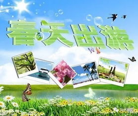 出游安全注意事項說(shuō)明,幼兒出游安全注意事項,班級活動(dòng)安全注意事項