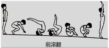 前滾翻教學(xué)注意事項