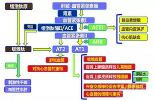 代森聯(lián)的使用注意事項