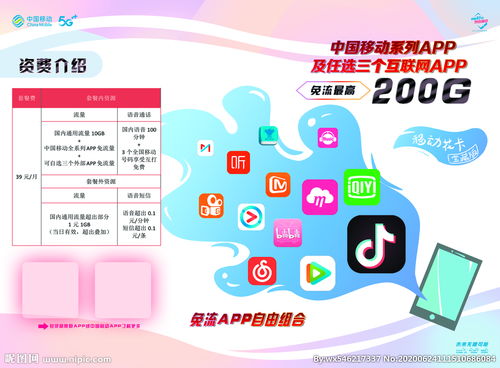 移動(dòng)卡出國注意事項