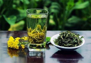 沖泡綠茶的注意事項