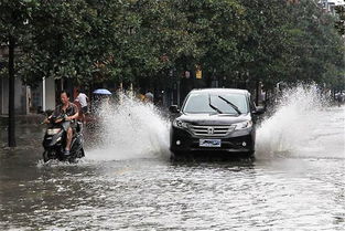臺風(fēng)暴雨天氣行車(chē)注意事項,臺風(fēng)天氣安全行車(chē)注意事項,暴雨天氣安全行車(chē)注意事項