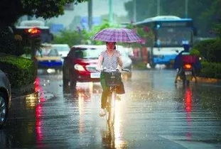 臺(tái)風(fēng)暴雨天氣安全注意事項(xiàng),臺(tái)風(fēng)暴雨天氣行車(chē)注意事項(xiàng),臺(tái)風(fēng)天氣安全注意事項(xiàng)