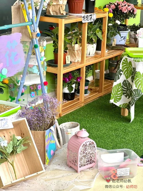 幼兒園圖書(shū)角注意事項,幼兒園植物角注意事項,自然角的注意事項