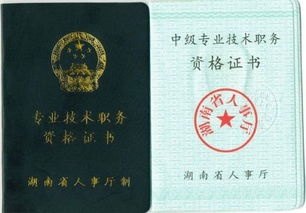 南京,申報,注意事項,中級職稱(chēng)
