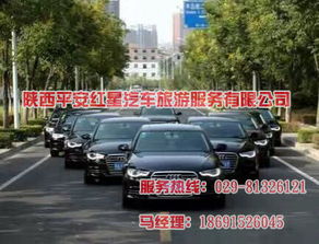 租車(chē),注意事項
