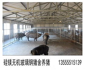 豬圈,注意事項,建設