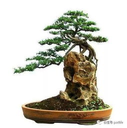 過(guò)程中,注意事項,制作,有哪些