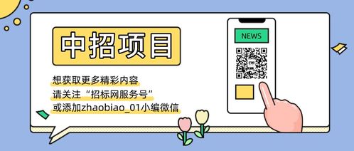 投標,注意事項,項目,ppp