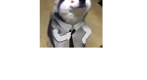 飼養外星人的注意事項