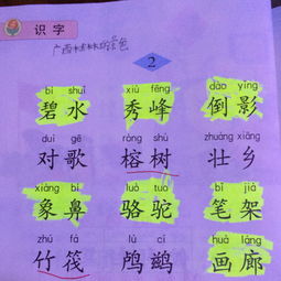 導(dǎo)游詞安全注意事項(xiàng),導(dǎo)游詞注意事項(xiàng)講解,撰寫導(dǎo)游詞的注意事項(xiàng)