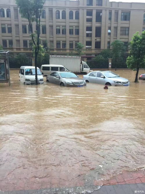 暴雨,臺風(fēng),注意事項,行車(chē)