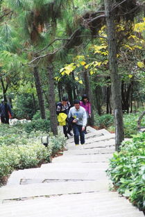 森林公園規(guī)劃注意事項(xiàng)