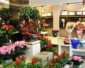 選址,花店,注意事項(xiàng),經(jīng)營(yíng)