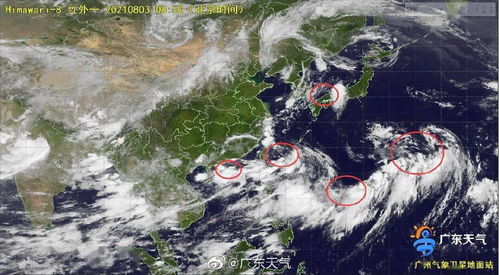 暴雨,臺(tái)風(fēng),注意事項(xiàng),天氣