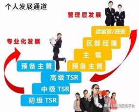 應聘招聘顧問(wèn)需要注意事項,應聘總經(jīng)理助理的注意事項,應聘禮儀與注意事項