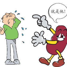 糖尿病腎病應注意事項