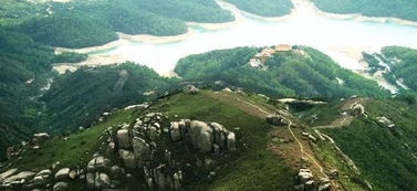進(jìn)山游玩注意事項(xiàng),黃楊移栽注意事項(xiàng),黃楊澆水注意事項(xiàng)