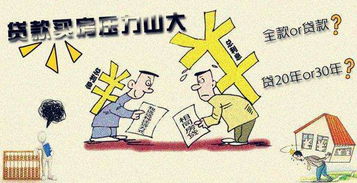 新房,注意事項,全款