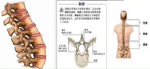 術(shù)后,注意事項,壓縮,性骨折
