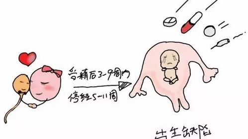 吃藥流第七天注意事項
