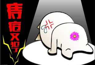 痔瘡換藥注意事項