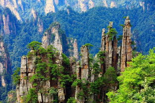 春節漠河旅游注意事項,黃山春節旅游注意事項,春節,武漢游客湖南旅游注意事項