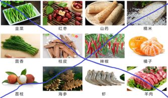 濕熱,體質(zhì),注意事項,飲食