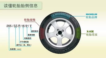 輪胎,轎車,注意事項,選擇